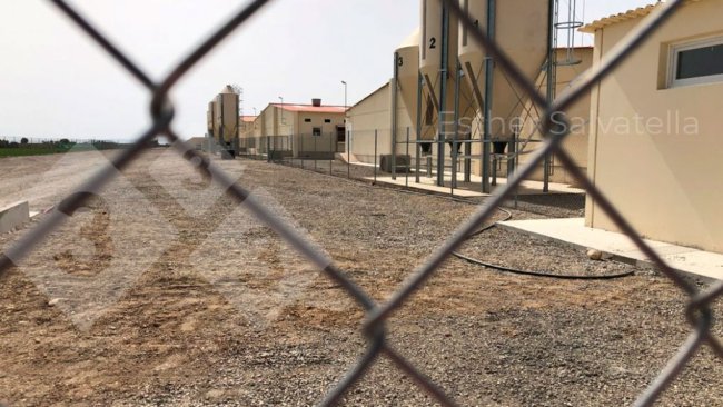 Photo 1. The photo shows the perimeter fence on the left, and the biosecurity fence on the right, which delimits the buildings and feed bins. The road between the two fences is a dirty area, but is exclusively for feed unloading.  Photo courtesy of Esther Salvatella.