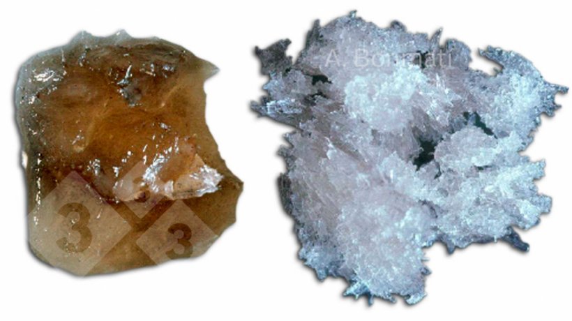 Figure&nbsp;3. Ammonium sulfate crystals obtained by stripping and adsorption of: A) fresh pig slurry; B) anaerobically digested pig slurry. Photos courtesy of A. Bonmat&iacute; (IRTA).
