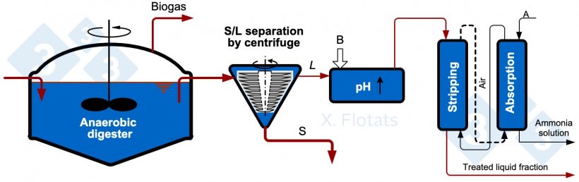 Figure 2. Diagram of the combination of anaerobic digestion and ammonia stripping, with export of the ammonia solution and the solid fraction, with or without composting.
