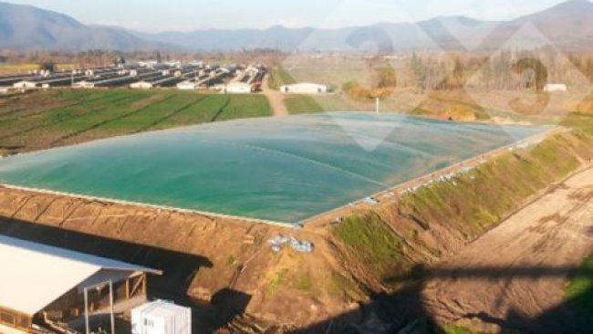 Figure 2. Typical digesters in the swine industry. Left: Anaerobic complete mix reactor with co-digestion on a pig farm (courtesy of Ecobiogas, Vila-sana, Lleida); Right: Covered anaerobic lagoon with gas recovery (courtesy of Agrícola AASA, Chile).