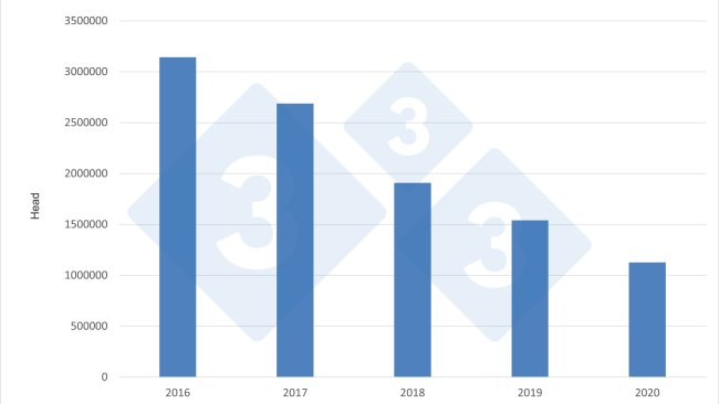 German annual imports of finishing pigs from the Netherlands.