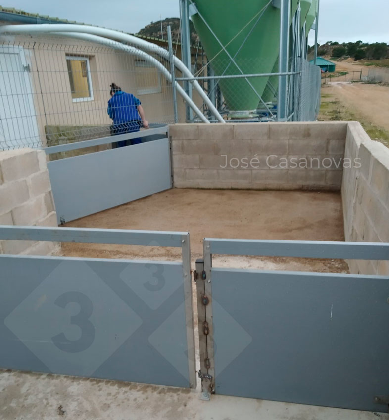 Figure 2. Area between gates with capacity to place all piglets that fit in the truck lift at the same time. This area is after the biosecurity fence and is therefore a dirty area. Photo courtesy of Jos&eacute; Casanovas.

