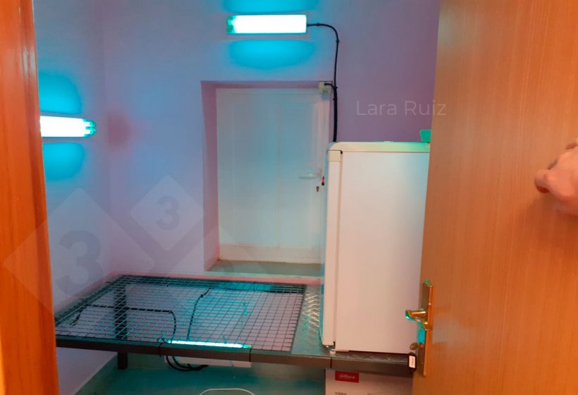 Figure&nbsp;3. Ultraviolet room for entry of small materials. In this case this room is also used to hold the semen reception refrigerator from the outside. Photo courtesy of Lara Ruiz.
