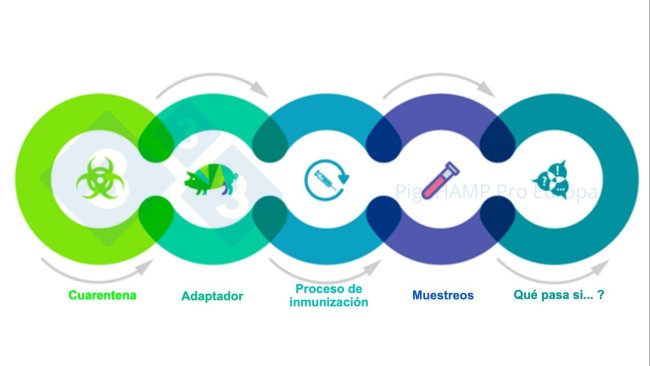Figure 1. Key interconnected aspects that should be understood prior to the visit.