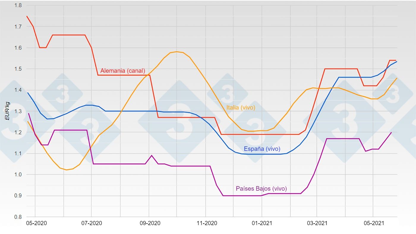 Graph 1. Evolution of pig prices in Germany, Spain, the Netherlands,&nbsp;and Italy.
