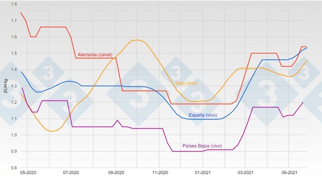 Graph 1. Evolution of pig prices in Germany, Spain, the Netherlands, and Italy.