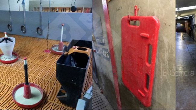 Figure 2. Having the room ready before the piglets arrive and having all the material in order and clean makes a huge difference in terms of hygiene, efficiency, and comfort for the piglets.