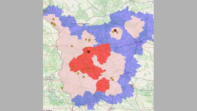 ASF in the Greater Poland Voivodeship