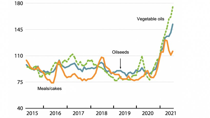 FAO Monthly international price indices for oilseeds, vegetable oils, and meals/cakes (2014-2016=100). Source: FAO.
