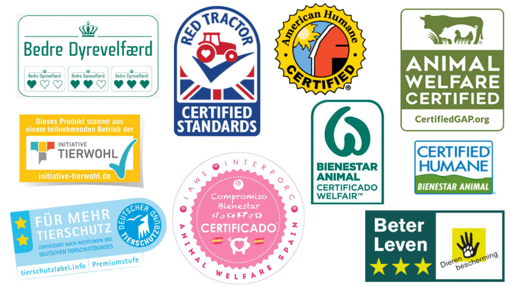 Different approaches to improving farm animal welfare - Articles - pig333, pig to pork community Different approaches to improving farm animal welfare - Articles - pig333, pig to pork community