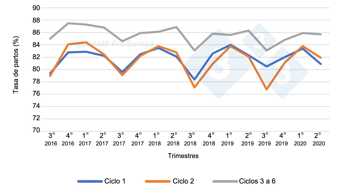 Graph&nbsp;4.&nbsp;Farrowing rate per parity and quarter of mating, mating period July 16-June 20.
