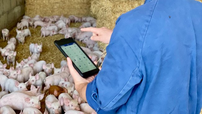 Apiam’s Data Pig works on-farm, hand in hand with producers backed up by their veterinarians. Producers own and control their own data and access to where it is securely stored in the cloud.