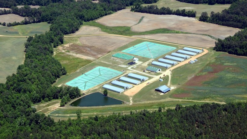 Butler Farms in North Carolina, which has always tried to minimise its impact on the environment.
