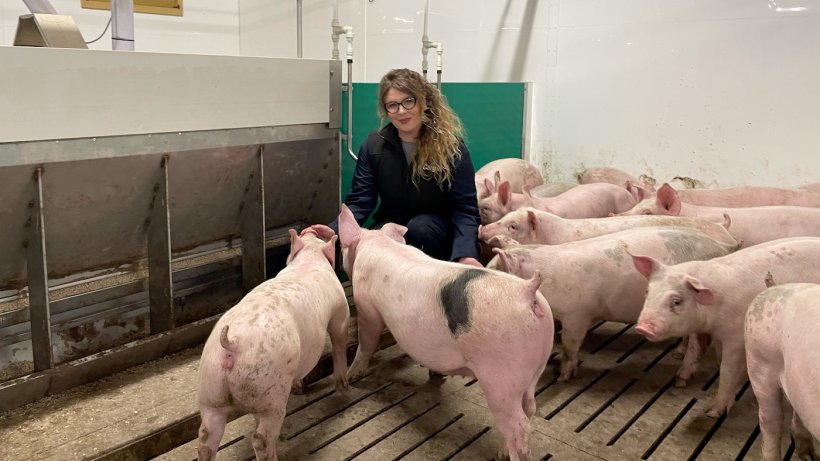 First batch of growers in pens with Clare Gaukroger, Cargill pig research coordinator.
