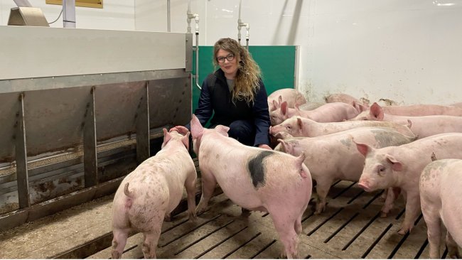 First batch of growers in pens with Clare Gaukroger, Cargill pig research coordinator.