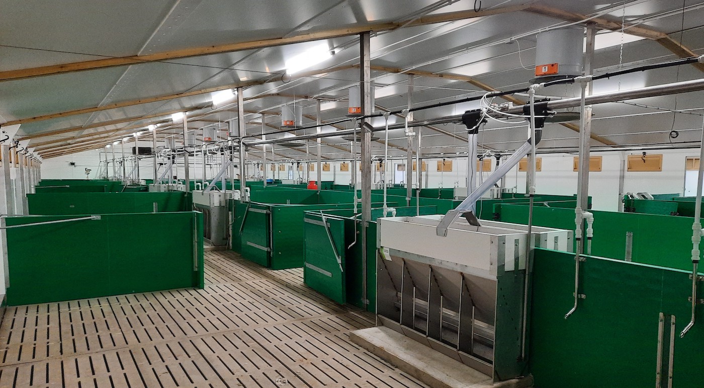 trial pens