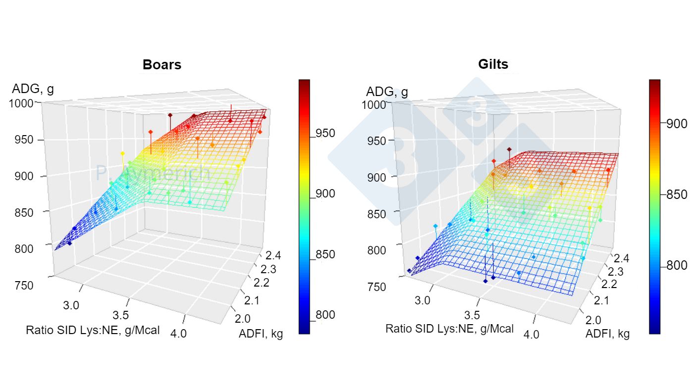 Figure&nbsp;1. Modeling the effect of lysine to energy ratio and average daily consumption in entire males and females between 70 and&nbsp;105 kg LW&nbsp;(Aymerich et al., 2020).

