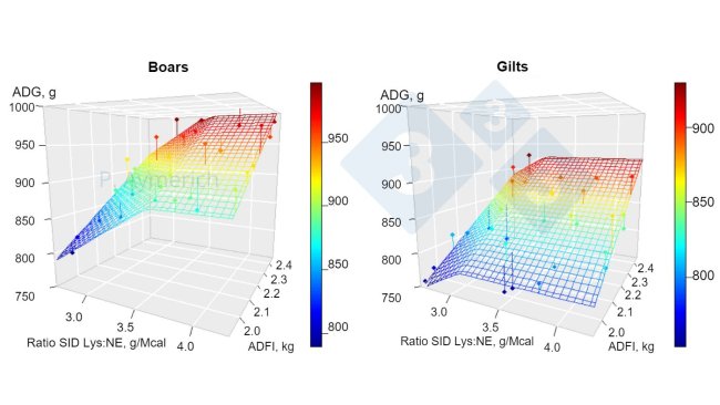 Figure 1. Modeling the effect of lysine to energy ratio and average daily consumption in entire males and females between 70 and 105 kg LW (Aymerich et al., 2020).