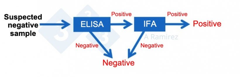 Figure 2. Diagram demonstrating the use of ASF IFA as a confirmatory test for samples unexpectedly testing ASF ELISA positive. A suspected negative sample that tests ELISA negative is considered negative. If this sample unexpectedly tests positive then an ASF IFA can be done as a confirmatory test. That is if the IFA test is positive it is confirmed the sample is positive. If the IFA test is negative we would then assume it was a false positive as long as the PCR is also negative so as to confirm no recent infection.
