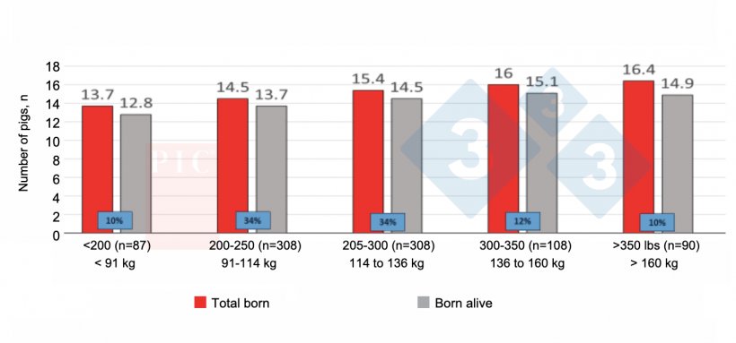 Figure 1.&nbsp;Effect of feed intake in first parity on litter size in second parity. First parity feed&nbsp;usage does impact P2 litter size. Mitigating&nbsp;feed restrictions in young females pays off. Source: PIC North America Technical Services (unpublished).
