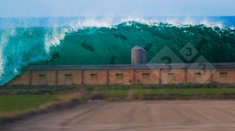 Inevitable Tsunami Slaughter And Process At A Loss No Thanks Articles Pig333 Pig To Pork Community