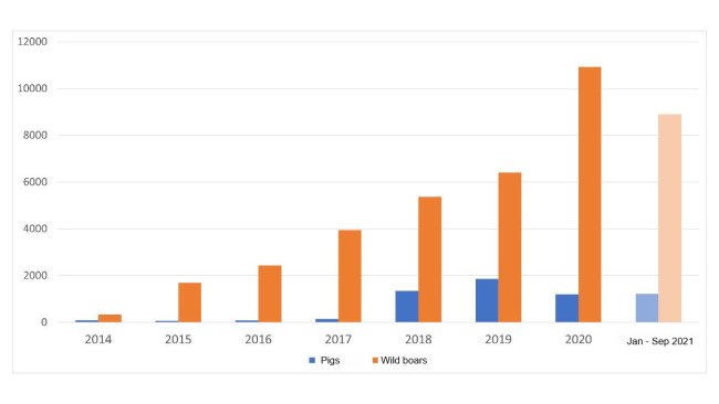 Evolution of ASF outbreaks in the EU.