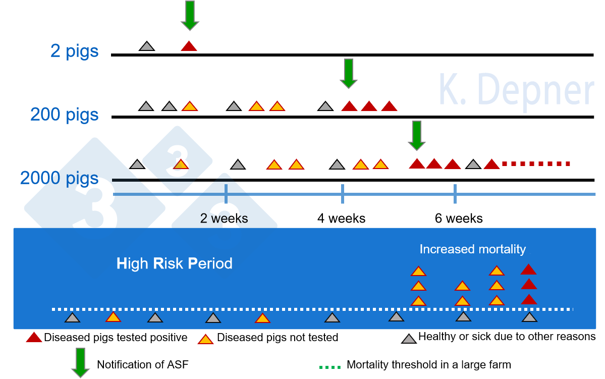 Figure 1. High risk period &amp; farm size​. Smaller holdings are generally in favor for early detection of ASF due to their small number of animals. On large farms, the first animals to become ill and die from ASF may be missed.
