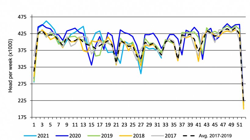 Canadian weekly federal market hog slaughter. Source: USDA from&nbsp;Agriculture and Agri-Food Canada.

