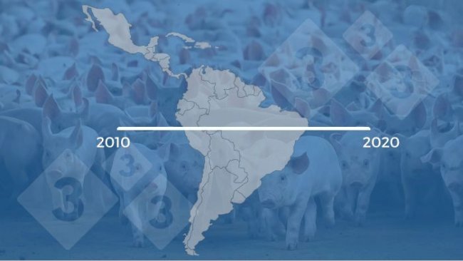 Evolution of pig farming in Latin America