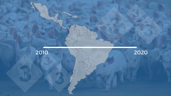 Evolution of pig farming in Latin America
