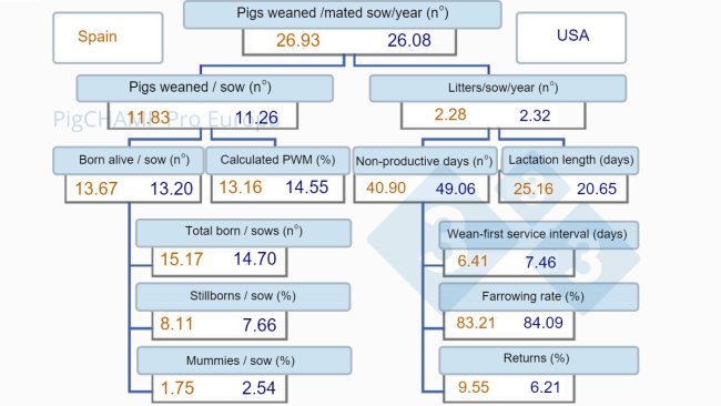 Figure 1. Productivity tree, Spain vs USA, 2019.