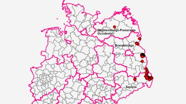 States in Germany with cases of African swine fever. Source: FLI.