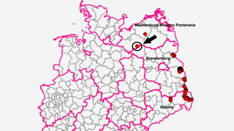 The case occurred in Marnitz in the Ludwigslust-Parchim district. Source: TSIS.
