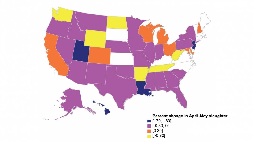 Percentage change in U.S. commercial hog slaughter between April&ndash;May 2020, baseline 2019. Notes: Slaughter levels for some States withheld to avoid disclosing data for individual operations or not applicable. These States appear white in the map. Source: USDA.
