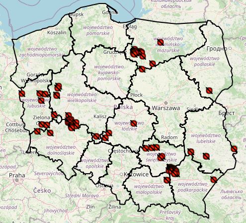 <p>ASF outbreaks by year 4</p>
