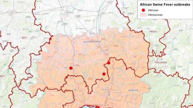 ASF outbreaks in Italy.