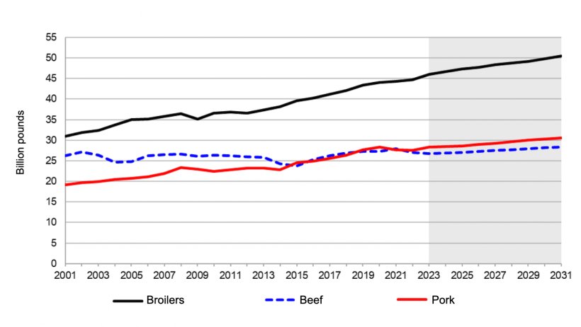 U.S. animal product production, 2001-2031. Note: The shaded region represents the projected period. Source: USDA, Interagency Agricultural Projections Committee, as of November 5, 2021.
