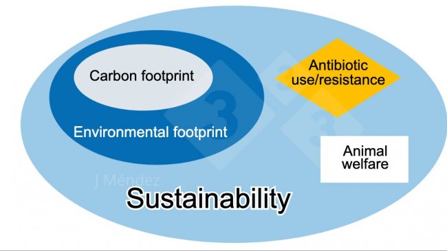 Figure 1. Key sustainability concepts.