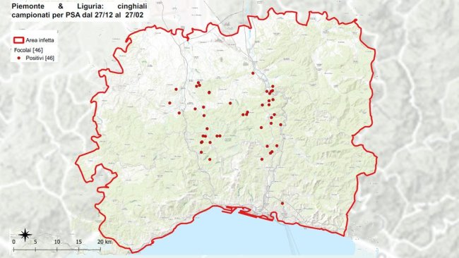 Map of ASF outbreaks