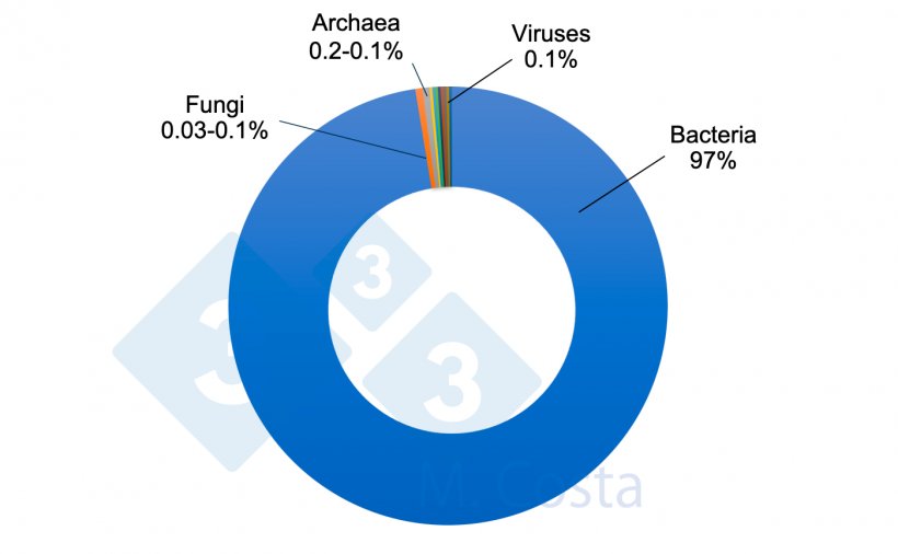 Figure 1. Estimated relative proportion of different microorganisms in the swine gut microbiome. While bacteria correspond to the vast majority of the microbes in the swine gut, other microorganisms play an important role in the complex network that is the gut-microbiota crosstalk.
