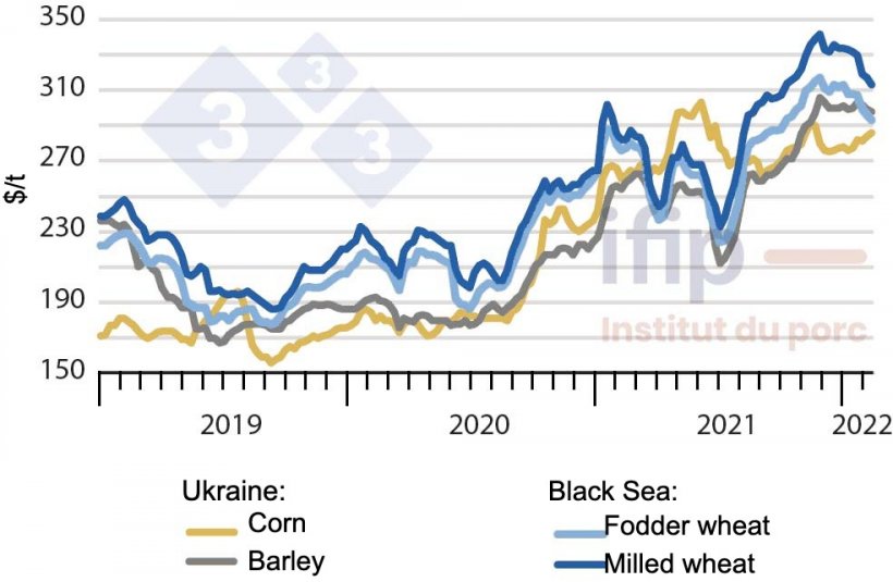 Grain prices in the Black Sea (Source: Ifip based on APK data)
