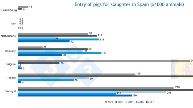 Figure 3. Entry of live pigs for slaughter Source: MAPA.
