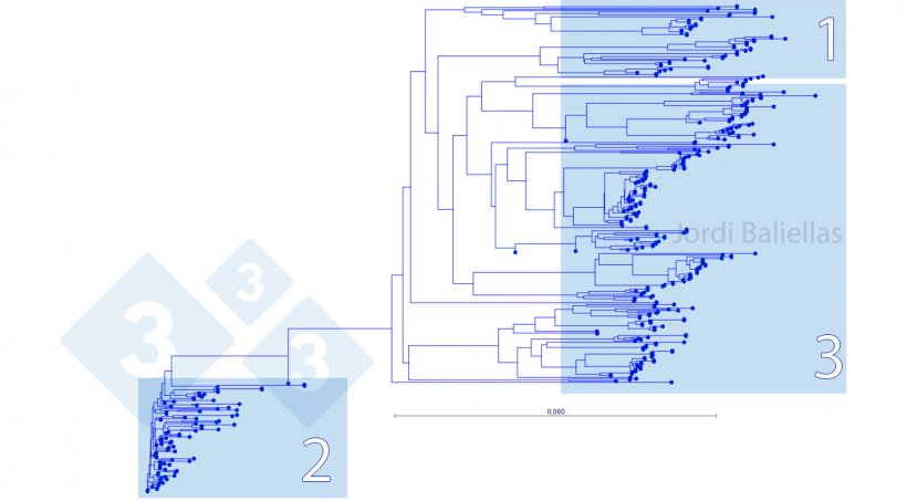 Figure 5. Phylogenetic tree of ORF5 sequences detected between 2017 and 2021 in a PRRS control zone.

