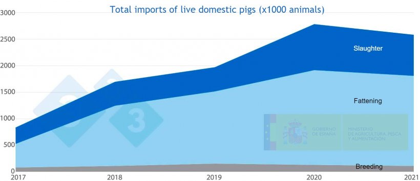 Figure 4. Total imports of domestic live pigs&nbsp;in Spain from 2017 to 2021. . Source: MAPA.
