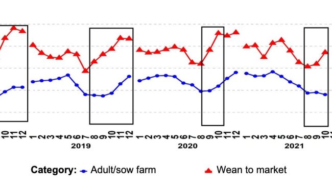 Figure 1. Percentage of PCR-positive PRRSV submissions for the age categories adult/sow farm and wean-to-market over time. The black boxes demonstrate the more accentuated and/or earlier spikes in grow-finish data compared to that of sow farms. Source: ISU-VDL: Iowa State University Veterinary and Diagnostic Laboratory; UMN-VDL: University of Minnesota Veterinary and Diagnostic Laboratory; SDSU-ADRDL; South Dakota State University Animal Disease Research and Diagnostic Laboratory; KSU-VDL: Kansas State University Veterinary and Diagnostic Laboratory; OH-ADDL: Ohio Animal Disease and Diagnostic Laboratory.