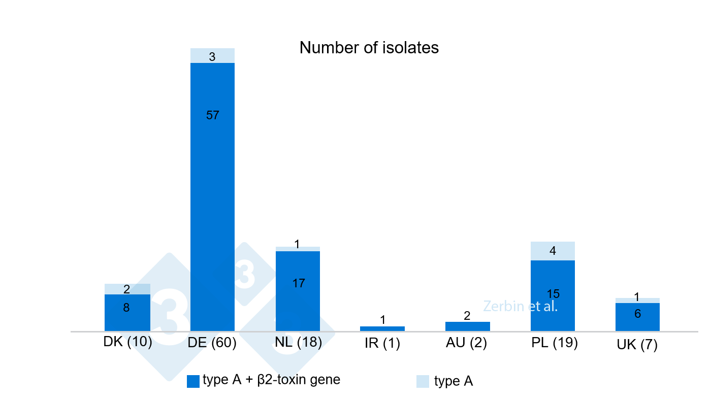 Figure 4.&nbsp;Number and percentage of <em>C. perfringens</em> isolates with &szlig;2-toxin gene and without from a total of 117 isolates by country of origin. Number of isolates per country in brackets.

