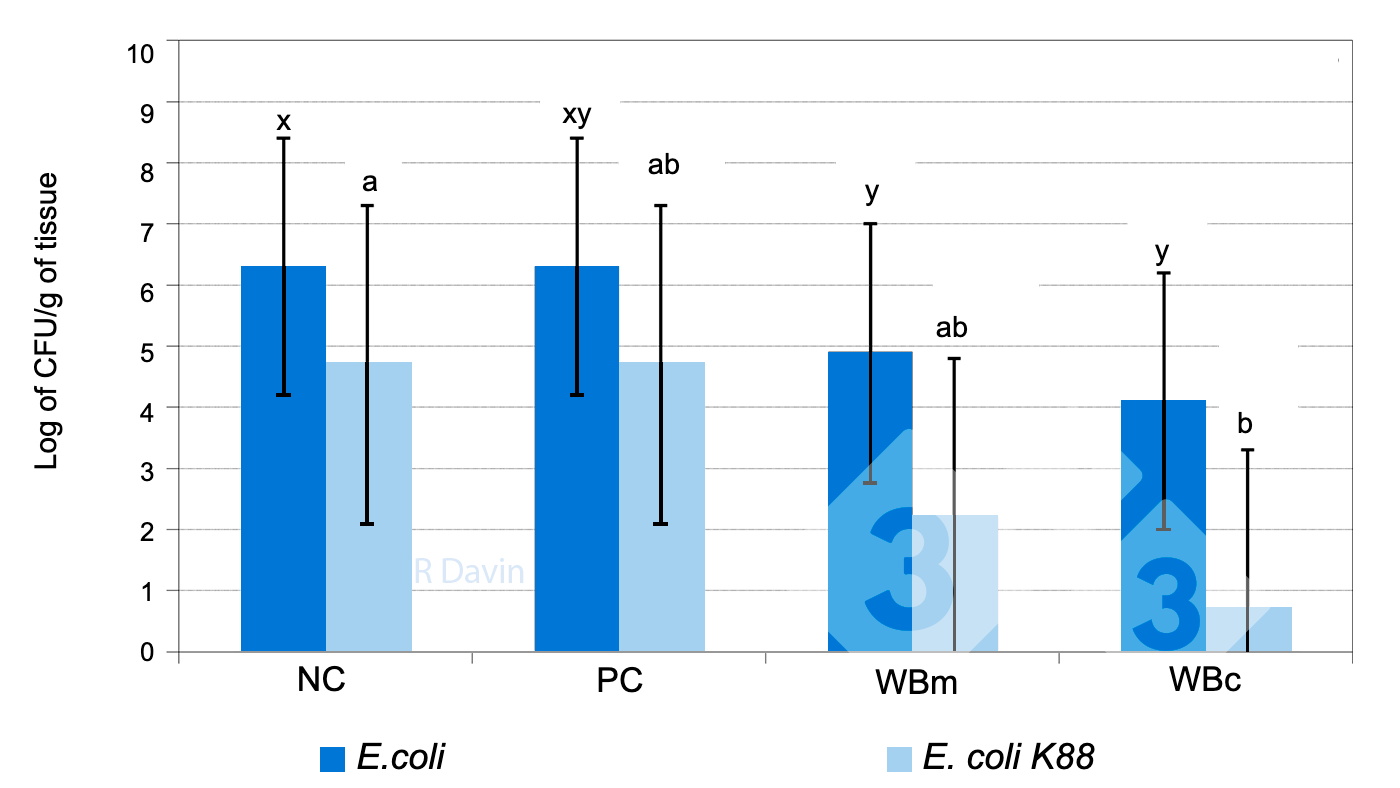 Figure&nbsp;1. Total <em>E. coli </em>and specific <em>E. coli K88 </em>attached to the ileum mucosa of post-weaning piglets after an <em>E. coli K88</em> challenge (adapted from Molist et al. 2011).

<sup>x,y</sup> Different superscripts in a bar indicate a significant difference between dietary treatments (P &lt; 0.05).

<sup>ab</sup> Different superscripts in a bar indicate a significant difference between dietary treatments (P &lt; 0.05).
