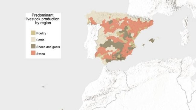 Predominant type of livestock in Spain (according to livestock units). Source: INE.