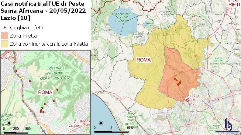 ASF cases in wild boar reported in Rome as of May 20, 2022. Source: IZSUM
