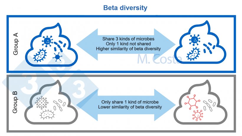 Figure 3. Understanding changes in microbial composition between samples (beta diversity). A more similar microbial community shares more types of microbes between samples. Usually, other aspects (such as genetic relationships between microbes) is taken into account when calculating the beta diversity index.
